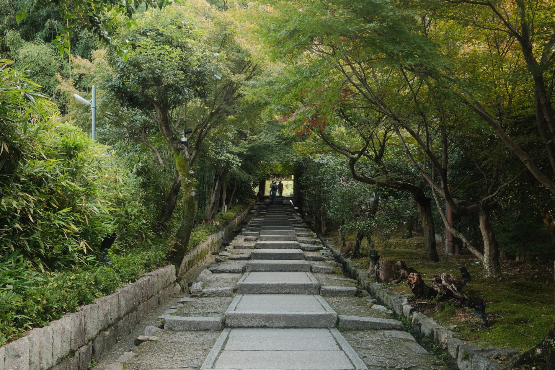A quiet path in the Kyoto Imperial Palace park grounds